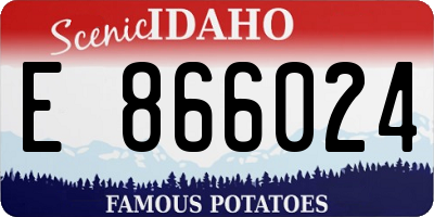 ID license plate E866024