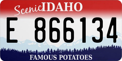 ID license plate E866134