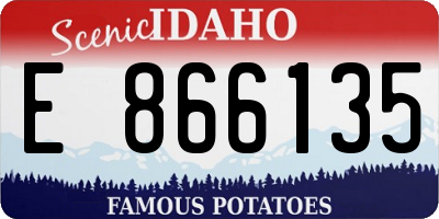 ID license plate E866135