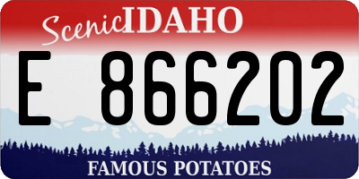 ID license plate E866202