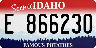 ID license plate E866230