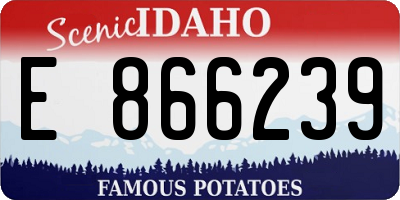 ID license plate E866239