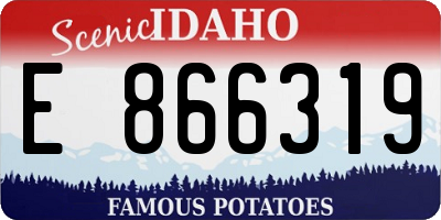 ID license plate E866319