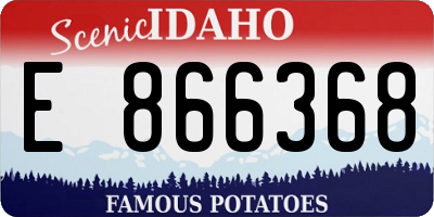 ID license plate E866368