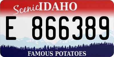 ID license plate E866389