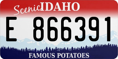 ID license plate E866391