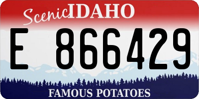 ID license plate E866429