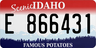 ID license plate E866431