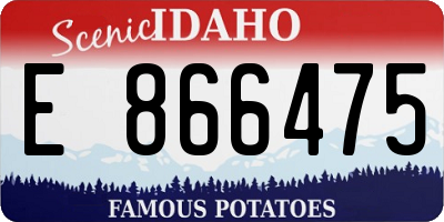 ID license plate E866475