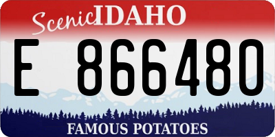 ID license plate E866480