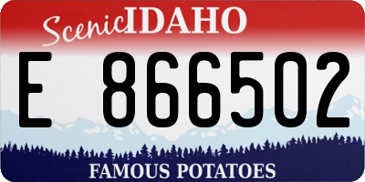 ID license plate E866502
