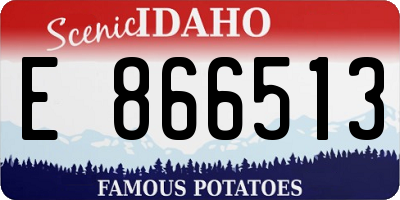 ID license plate E866513