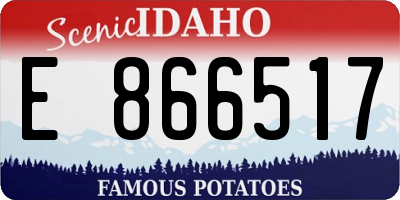 ID license plate E866517
