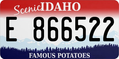 ID license plate E866522