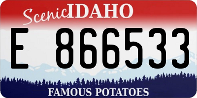 ID license plate E866533