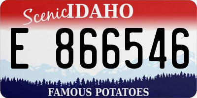 ID license plate E866546