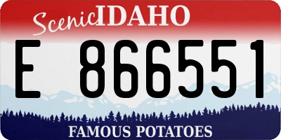 ID license plate E866551