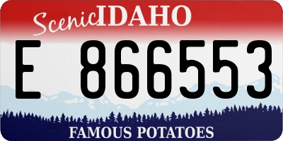 ID license plate E866553