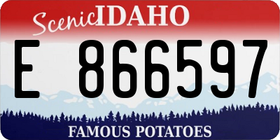 ID license plate E866597