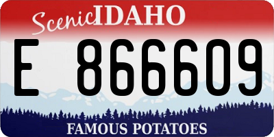 ID license plate E866609