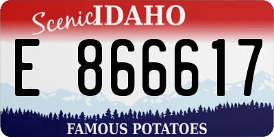 ID license plate E866617