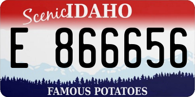 ID license plate E866656