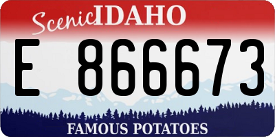 ID license plate E866673