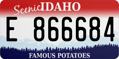 ID license plate E866684