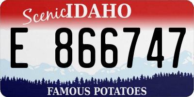 ID license plate E866747