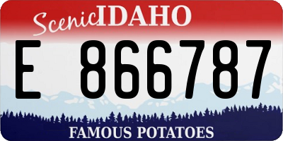 ID license plate E866787