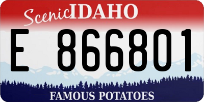 ID license plate E866801