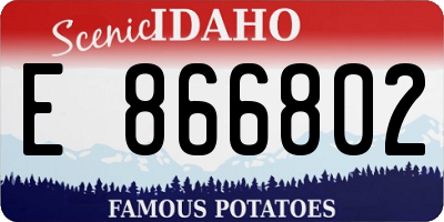 ID license plate E866802