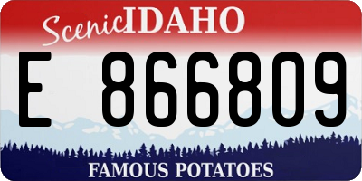 ID license plate E866809