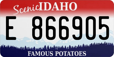 ID license plate E866905