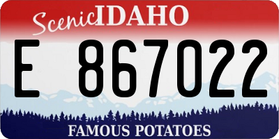 ID license plate E867022