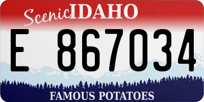 ID license plate E867034