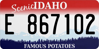 ID license plate E867102