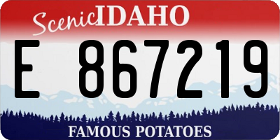 ID license plate E867219