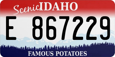 ID license plate E867229
