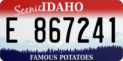 ID license plate E867241