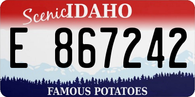 ID license plate E867242