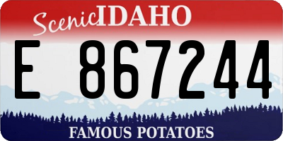 ID license plate E867244