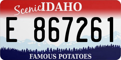 ID license plate E867261