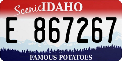ID license plate E867267