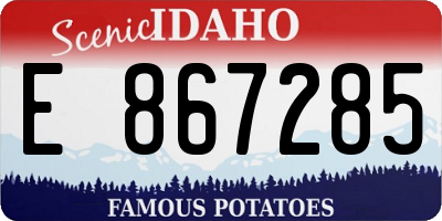 ID license plate E867285