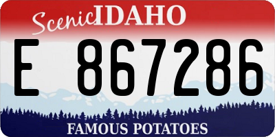 ID license plate E867286