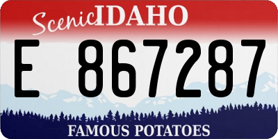 ID license plate E867287