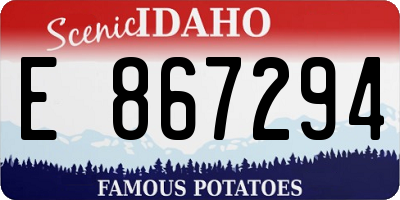 ID license plate E867294