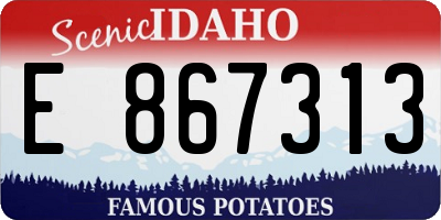 ID license plate E867313