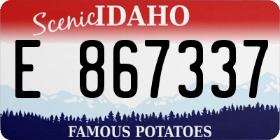 ID license plate E867337